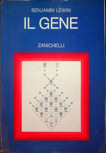 Il gene.