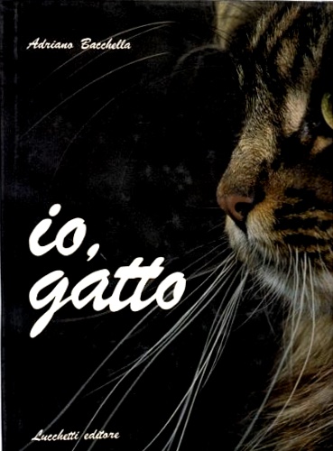 Io gatto.