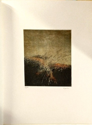 Bruno Missieri. Caspuglio.