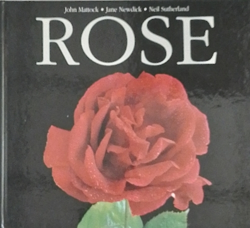 9788848100588-Rose.