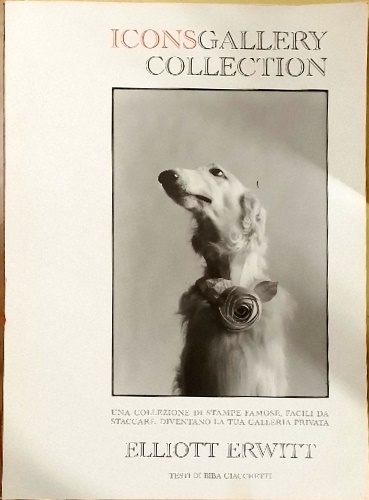 9788890969621-Iconsgallery collection.