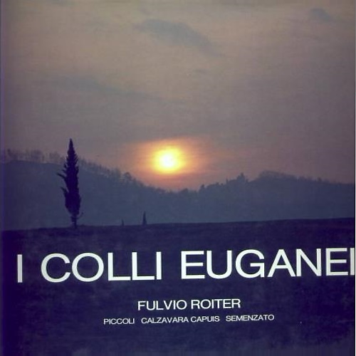 I colli Euganei.