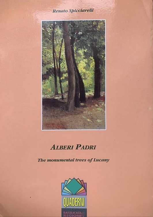 Alberi padri. The monumental trees of Lucany.