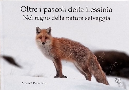 9791282071017-Oltre i pascoli della Lessinia. Nel regno della natura selvaggia.