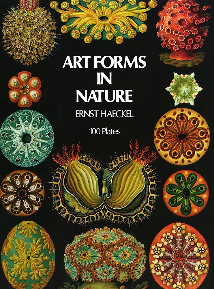 9780486229874-Art Forms In Nature.