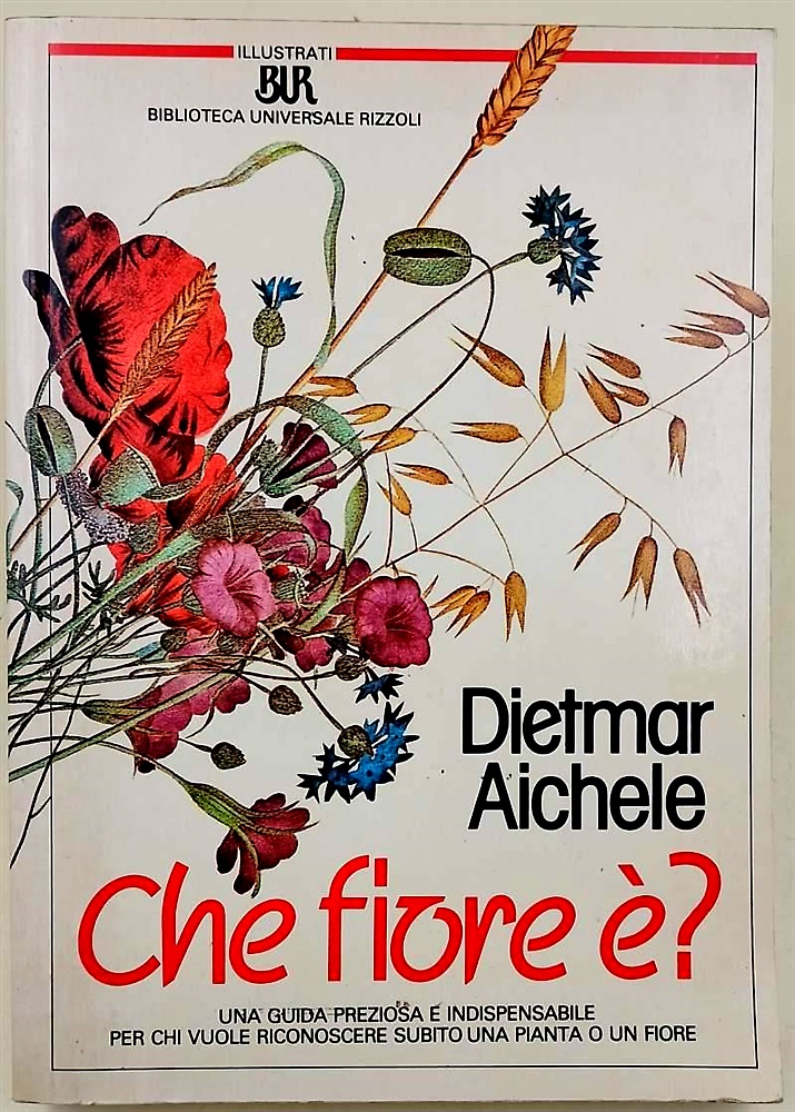 Che fiore è?