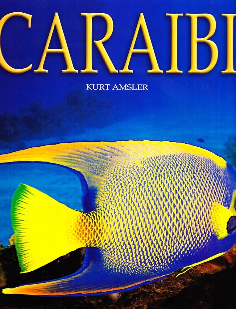 9788854001138-Caraibi.