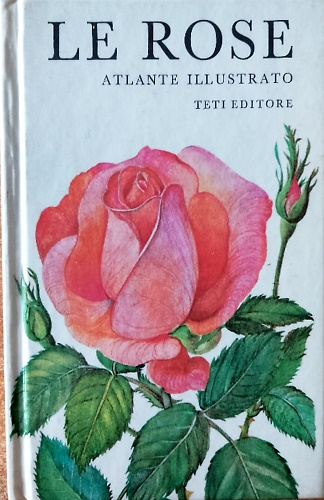 Le rose atlante illustrato.