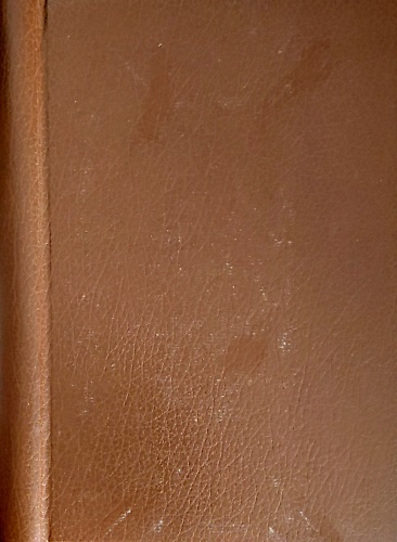 Il conoscitore di tappeti orientali. Guida ai motivi, disegni e simboli.