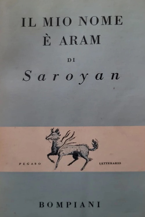 Il mio nome è Aram.
