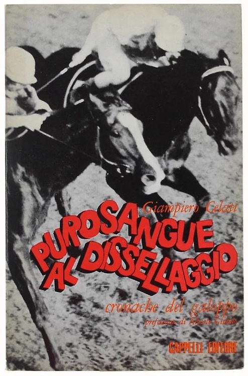 Purosangue al dissellaggio. Cronache del galoppo.