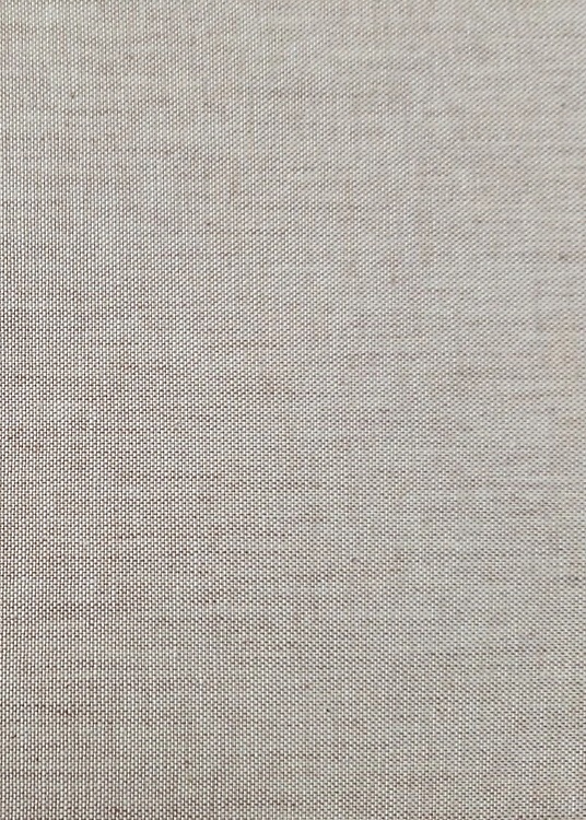 9783406040184-Die Flavier.