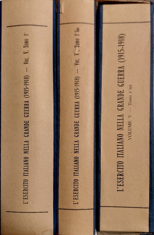 L'Esercito Italiano nella Grande Guerra 1915-1918. Vol.V, Le operazioni del 1918