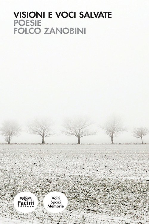 9788869956478-Visioni e voci salvate.