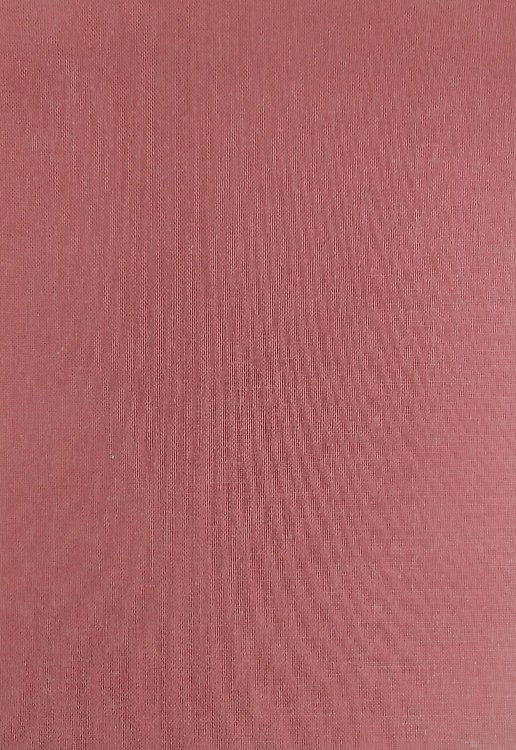 Geschichte der Franken bis zur Mitte des sechsten Jahrhunderts.