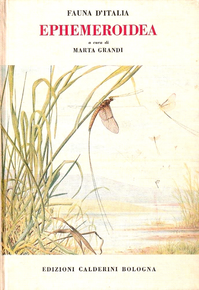 9788870190793-Ephemeroidea.