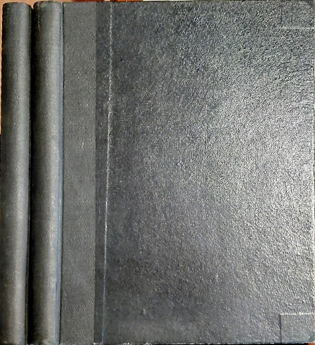 Le cento città d'Italia illustrate.