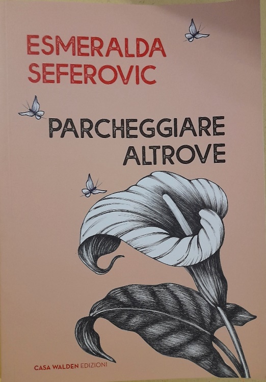 8053676580361-Parcheggiare altrove.