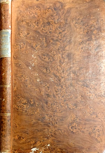 Ueber die Wahrscheinlichkeit der Existenz der Päpstin Johanna.