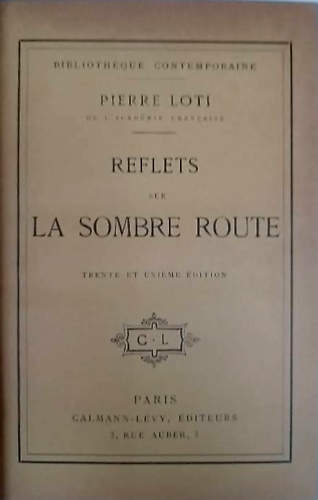 Reflets sur la sombre route.