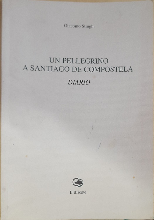 Un pellegrino a Santiago de compostela.