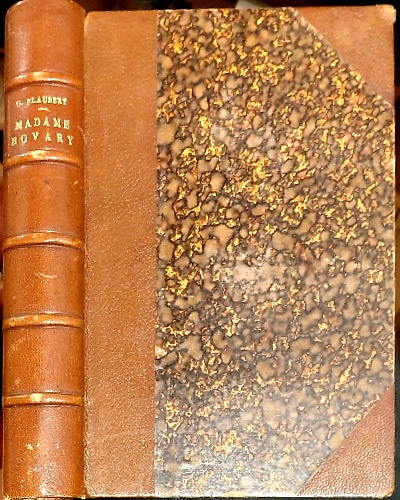 Madame Bovary moeurs de province.