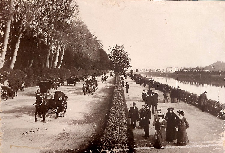 Collezione Alinari.  Firenze Passeggiata allee Cascine.