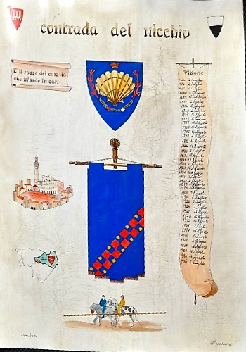 Palio di Siena.  Contrada del nicchio.
