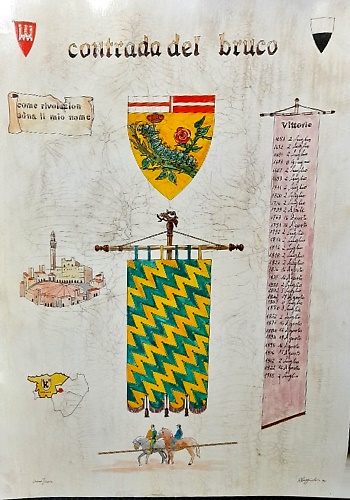Palio di Siena.  Contrada del bruco.