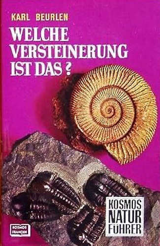 Welche versteinerung ist das?