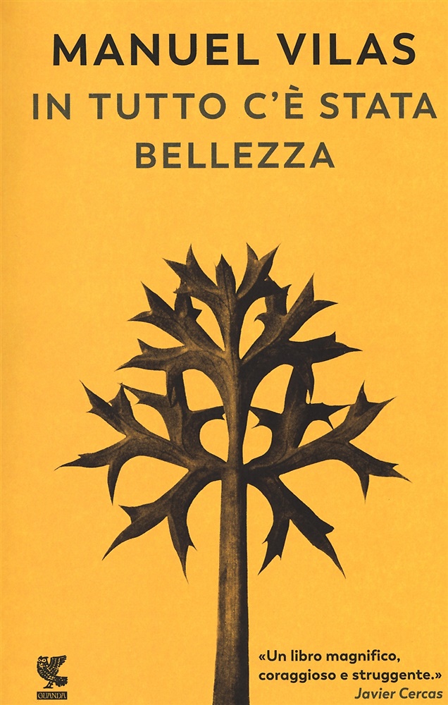 9788823522459-In tutto c'è stata bellezza.