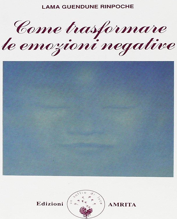 9788885385399-Come trasformare le emozioni negative.