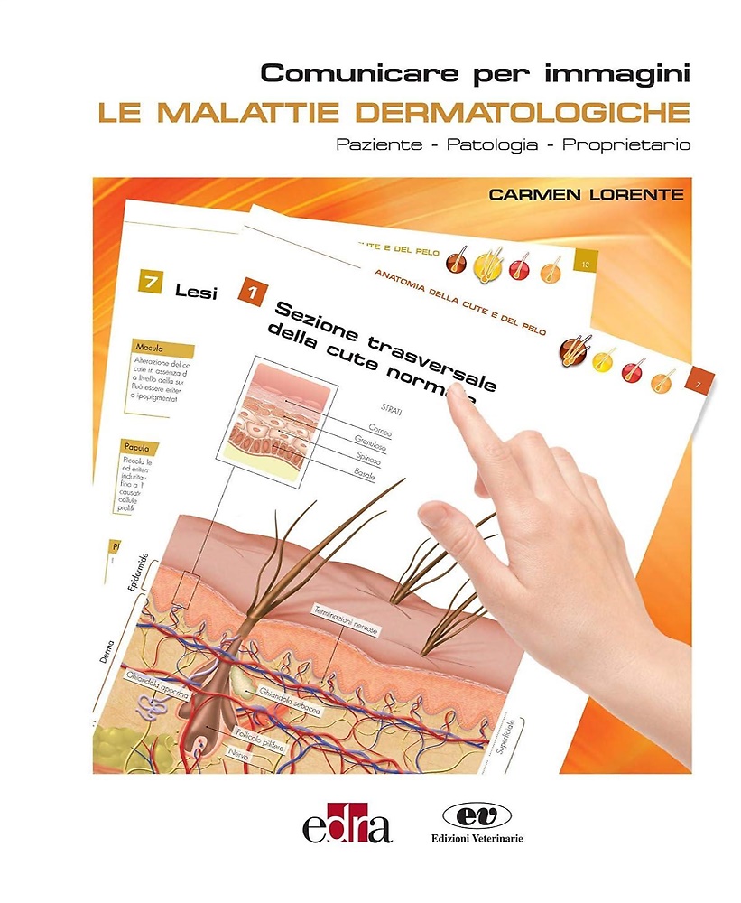 9788821452185-Le malattie dermatologiche: Comunicare per immagini. Paziente, patologia, propri