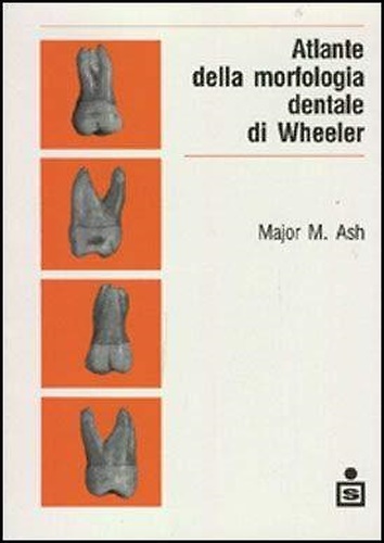 Atlante della morfologia dentale di Wheeler.