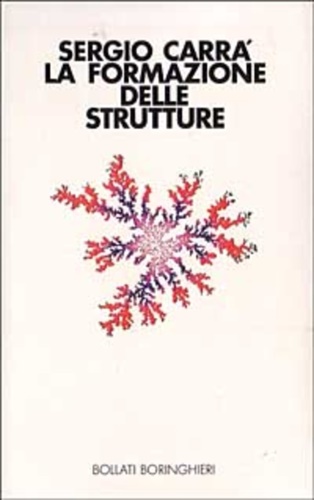 9788833904948-La formazione delle strutture.
