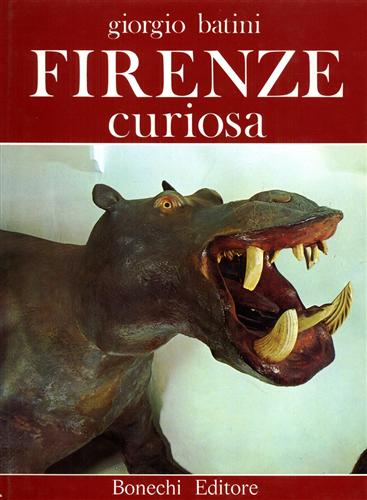 Firenze curiosa.